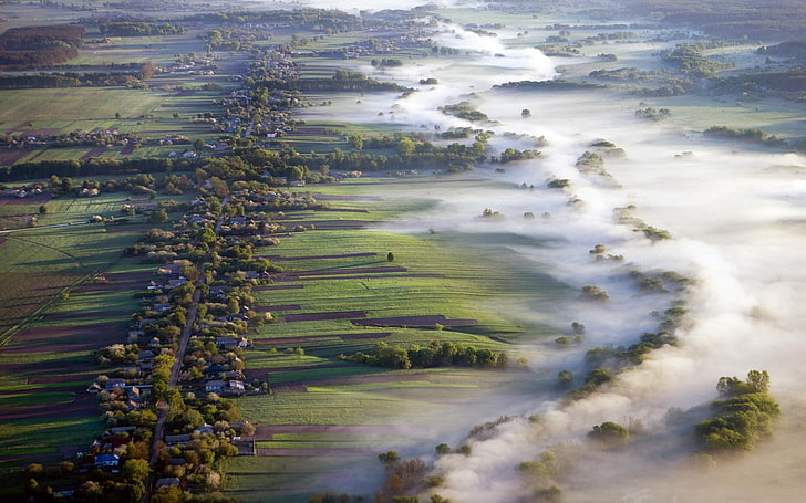緑の芝生フィールド、自然、風景、空撮、霧、村、フィールド、道路、朝、ウクライナ、 HDデスクトップの壁紙