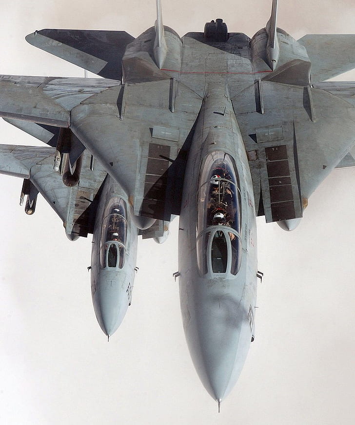 세로보기, Grumman F-14 Tomcat, 제트 전투기, 멀티 롤 전투기, 비행기, HD 배경 화면, 핸드폰 배경화면