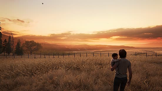 The Last of Us, The Last of Us 2, ellie (sonumuz), HD masaüstü duvar kağıdı HD wallpaper