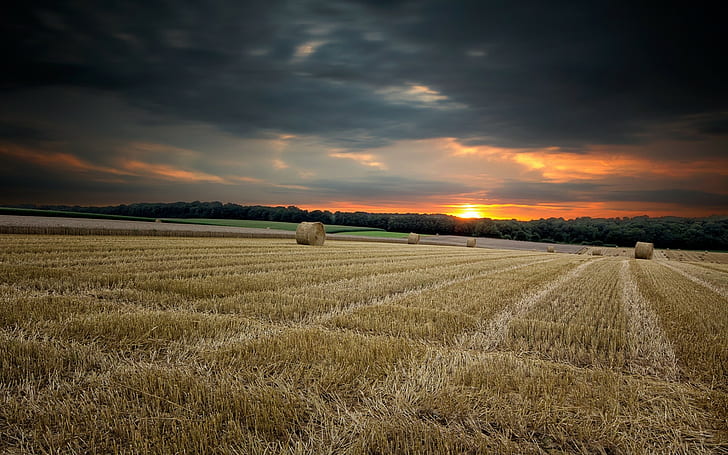 Hay Sunset Field HD, кафяво валцувано сено, природа, залез, поле, сено, HD тапет
