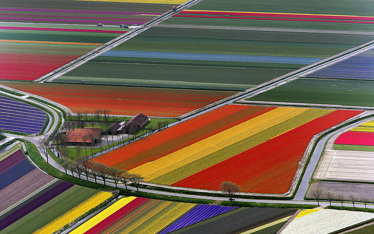 Радужные поля, пейзаж, поле, радуга, красочные, 3d и абстрактные, HD обои