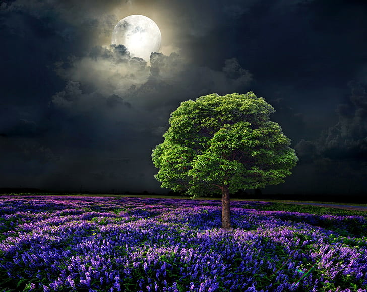 natura, opera d'arte, alberi, luna, fiori, notte, Sfondo HD