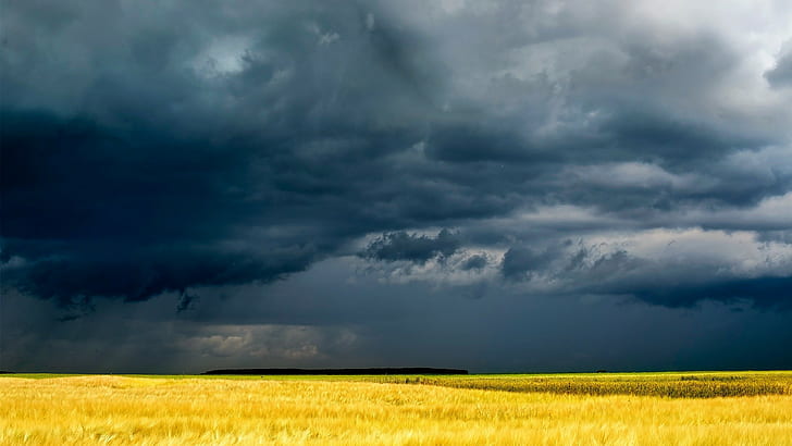 природа, облачно, буря, пейзаж, пшеница, поле, HD тапет