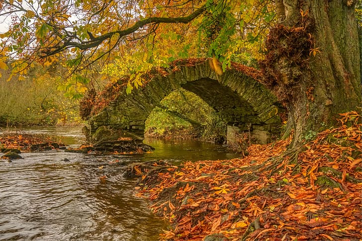 осень, деревья, мост, река, Ирландия, опавшие листья, River Boyne, Река Бойн, Babes Bridge, HD обои