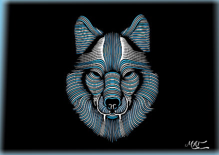 волк HD обои, животные, волк, голубой, белый, черный фон, простой, HD обои HD wallpaper