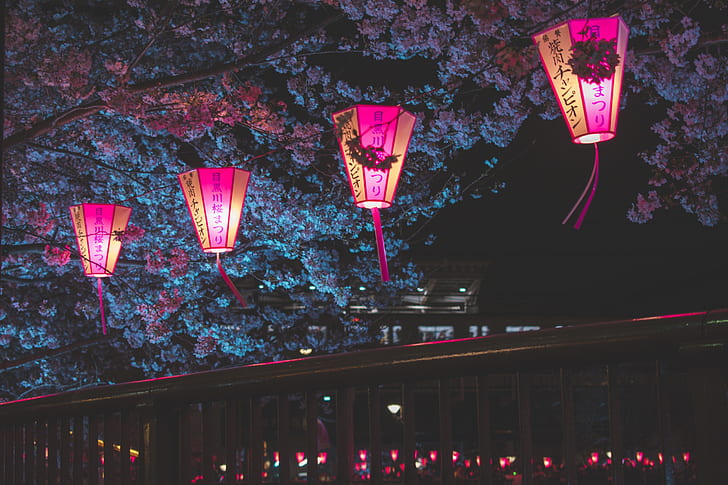 Япония, нощ, Токио, черешов цвят, фенер, градски, природа, дървета, Азия, HD тапет