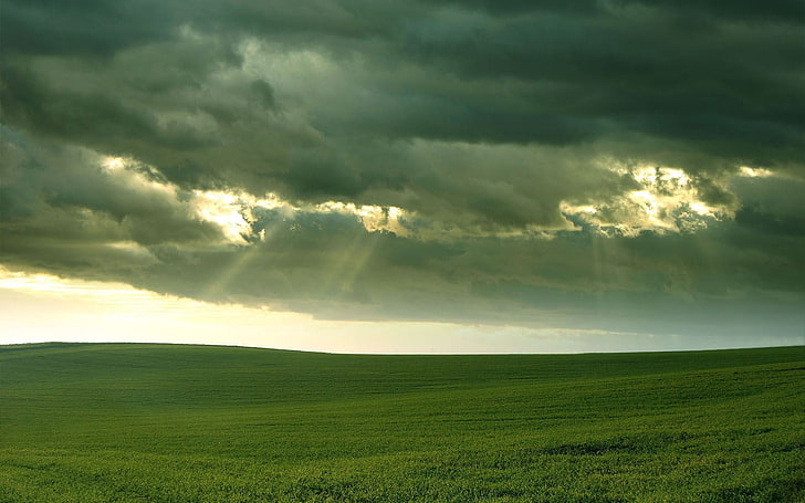 zielona trawa, krajobraz, chmury, trawa, promienie słoneczne, niebo, Tapety HD