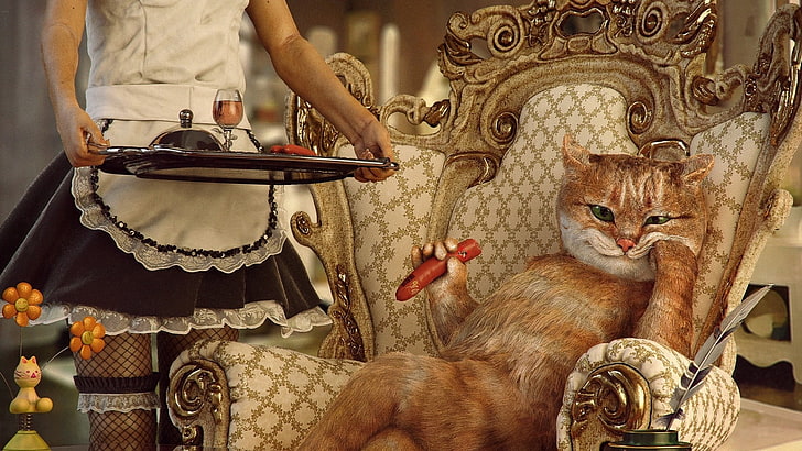 pomarańczowy pręgowany kot siedzi na krześle trzymając jedzenie cyfrowe tapety, zwierzęta, sztuka cyfrowa, kot, bogactwo, kobiety, pokojówka, spódnica, krzesło, jedzenie, napój, cygara, humor, manipulacja zdjęciami, kiełbasa, kabaretki, kwiaty, Tapety HD