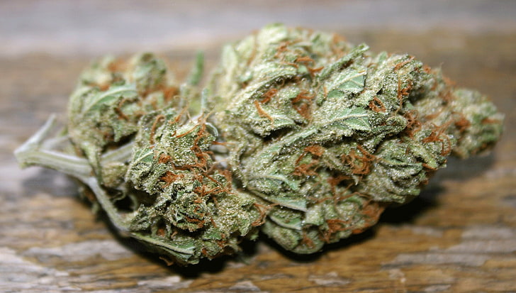 Лучшая марихуана фото белые пятна на листьях конопли