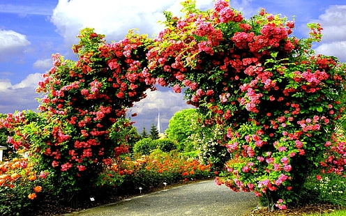 Stworzone przez człowieka, ogród, łuk, kwiat, różowy kwiat, róża, Tapety HD HD wallpaper