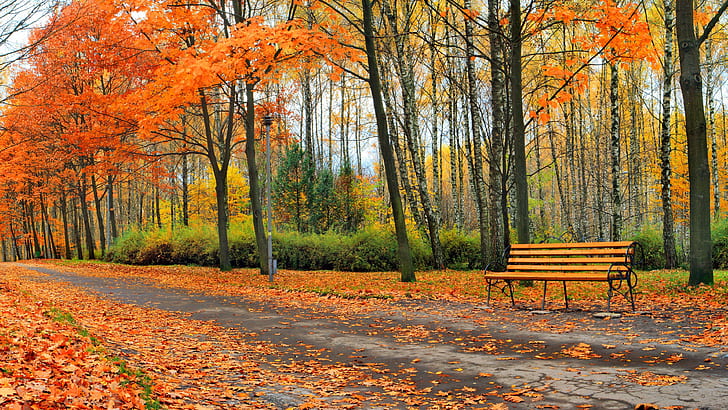 Beautiful autumn park, trees, leaves, bench, Beautiful, Autumn, Park, Trees, Leaves, Bench, HD wallpaper