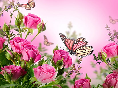 Rosa Rosen, Blumen, Schmetterlinge, Rosa, Rosen, Blumen, Schmetterlinge, HD-Hintergrundbild HD wallpaper