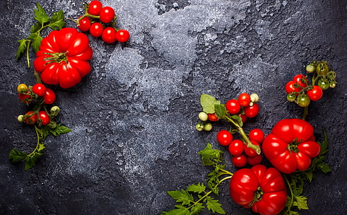 Taze kırmızı domates, kiraz domates, yiyecek ve içecek, yaz, yeşil, Bahçe, siyah, yaprakları, taze, organik, gıda, olgun, demet, sağlıklı, domates, sebze, vejetaryen, natürmort, cherrytomato, HD masaüstü duvar kağıdı HD wallpaper