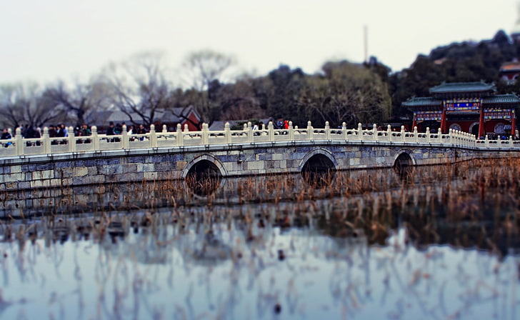 Chinese Stone Bridge, white concrete bridge, Vintage, Stone, Chinese, Bridge, HD wallpaper