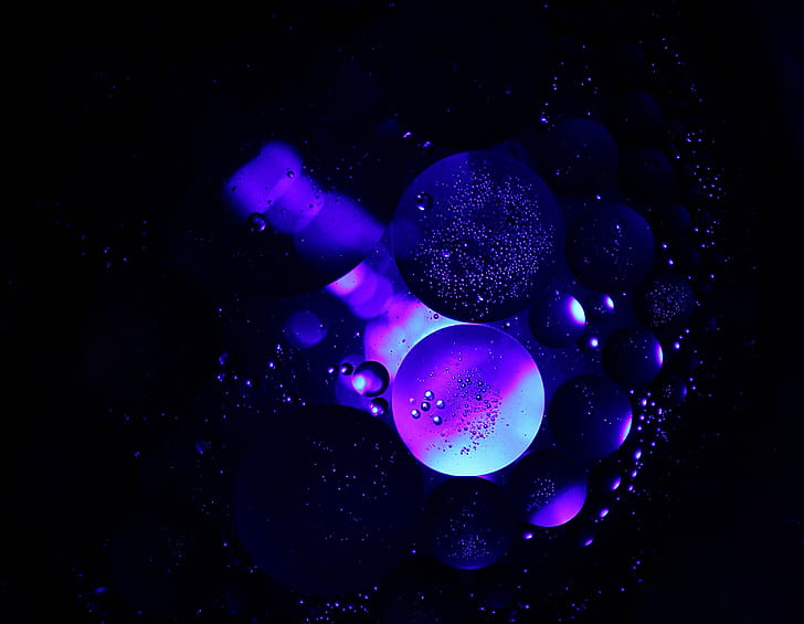 bubbles, air, circles, structure, transparent, purple, HD wallpaper
