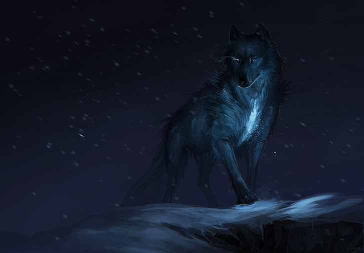 4K, Wolf, Mythical, Dark, Winter, HD wallpaper | Wallpaperbetter