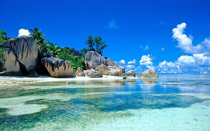 isla y cuerpo de agua, mar, palmeras, costa, piedras, cantos rodados, trópicos, Fondo de pantalla HD