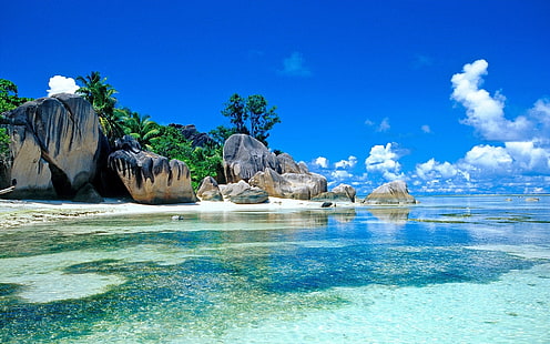 isla y cuerpo de agua, mar, palmeras, costa, piedras, cantos rodados, trópicos, Fondo de pantalla HD HD wallpaper