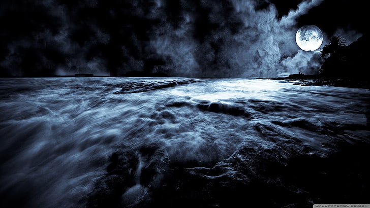 море и полнолуние фото в оттенках серого, природа, цифровое искусство, луна, небо, ночь, море, HD обои