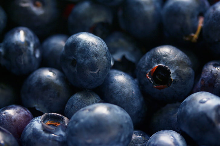 blueberries, blueberries, berries, close-up, HD wallpaper