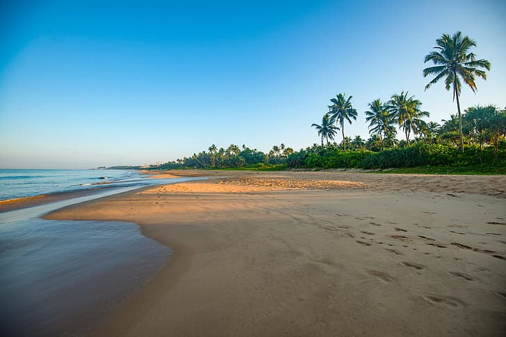 beach, palm trees, coast, Sri Lanka, Bentota Beach, HD wallpaper