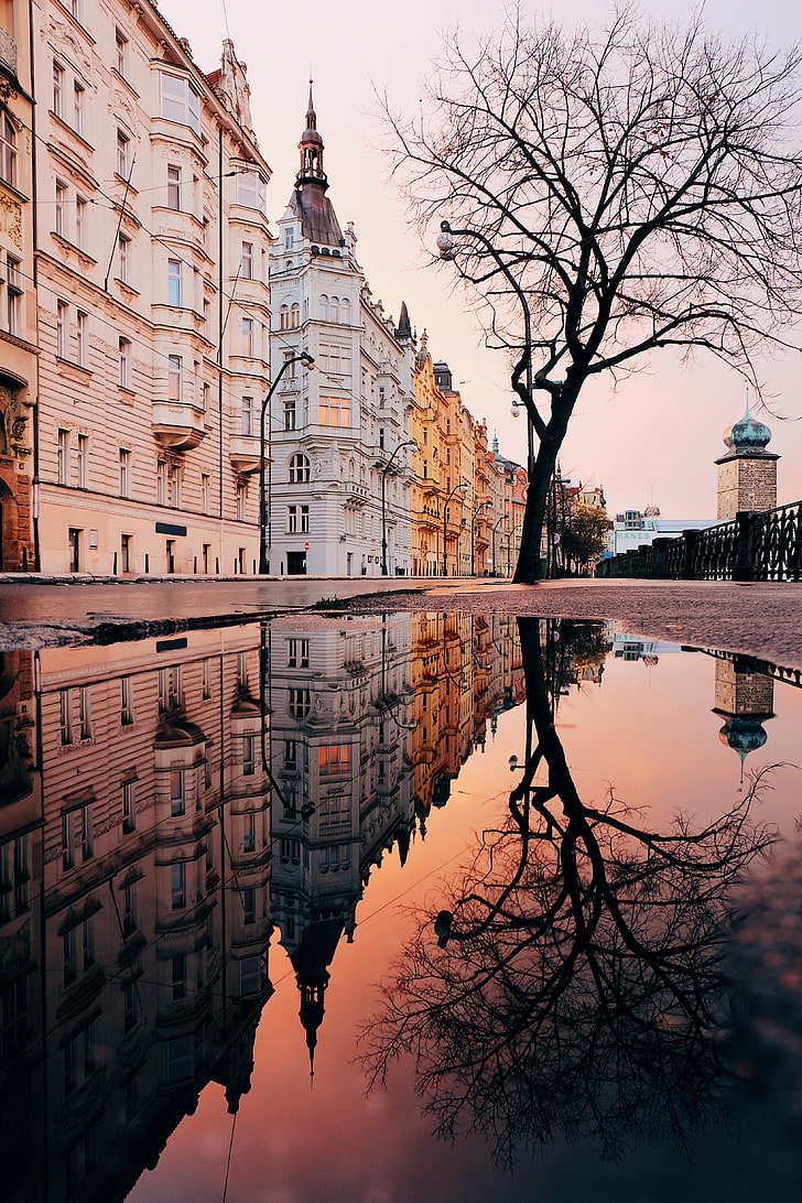 Edificio de hormigón blanco y cuerpo de agua, arquitectura, charco, reflexión, ciudad, Praga, Chequia, Fondo de pantalla HD, fondo de pantalla de teléfono
