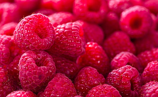 red fruits, Raspberries, Red, Bokeh, 4K, 8K, HD wallpaper HD wallpaper