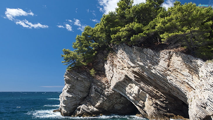 جرف صخري مع الأشجار بالقرب من جسم مائي ، منظر طبيعي ، جرف ، أشجار، خلفية HD