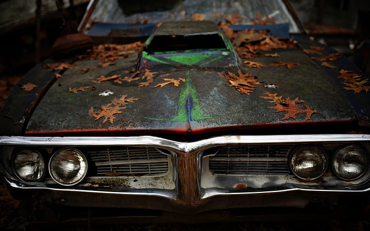 brunt och grönt fordon, bil, fordon, Pontiac, löv, fordonets front, HD tapet