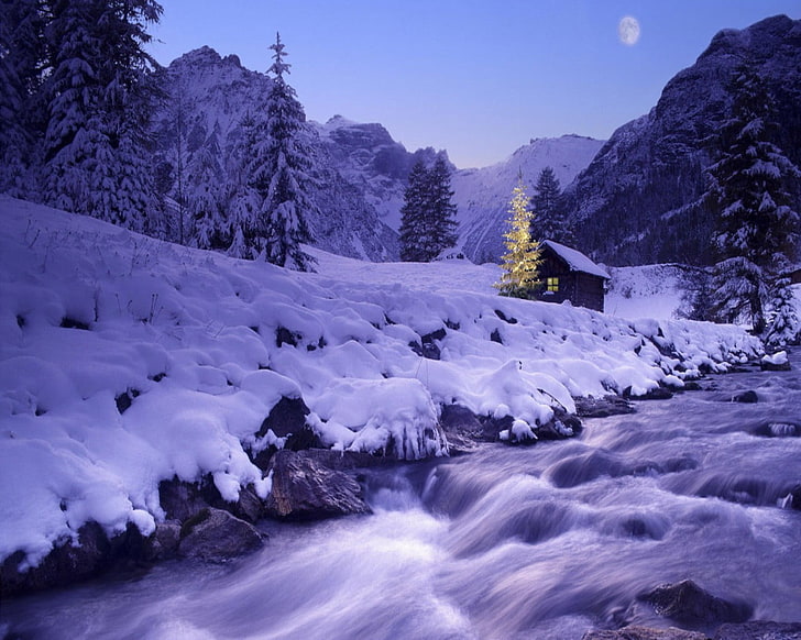 雪に覆われた松の木、風景、冬の近くの雪に覆われた家、 HDデスクトップの壁紙