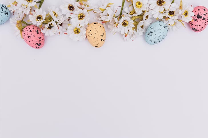 flowers, chamomile, spring, Easter, pink, eggs, decoration, Happy, tender, the painted eggs, HD wallpaper