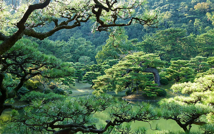 Japan Parks Takamatsu Ritsurin Garden Trees Nature 409212, HD wallpaper