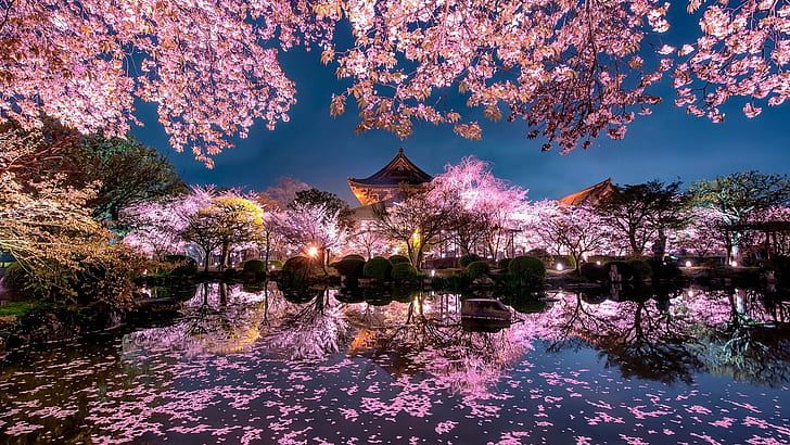 размисъл, езерце, здрач, вечер, цвят, нощ, пролетна нощ, пролет, април, сакура, Киото, Азия, Япония, японска градина, черешов цвят, сакура, цвят на сакура, HD тапет