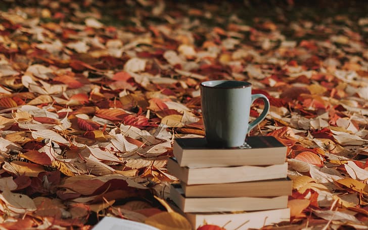 autumn, leaves, books, mug, fallen leaves, HD wallpaper
