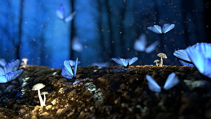papillons, champignons, forêt, fantaisie, bleu, Fond d'écran HD