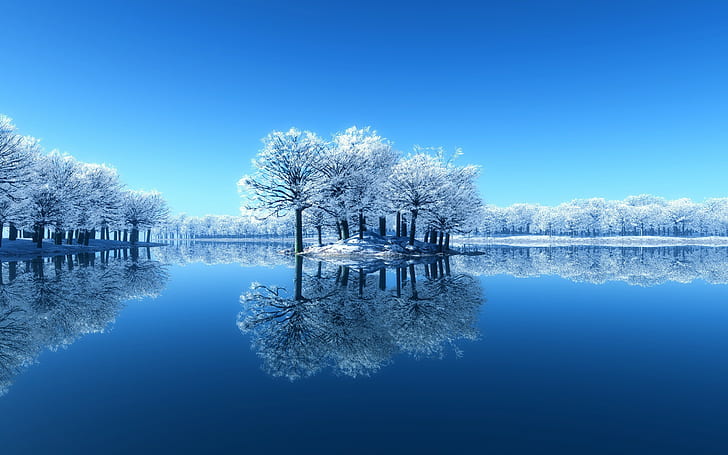 Дървета Езеро Отражение Синьо HD, природа, дървета, синьо, езеро, отражение, HD тапет