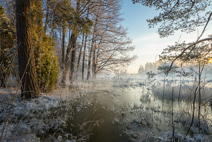 panoramic photo of a woodland stream, Winter, Day, Langinkoski, panoramic photo, woodland, stream, nikon  d600, nikkor, 35mm, Kotka, Finland, rapids, ice  cold, WOW, nature, tree, river, water, landscape, forest, lake, outdoors, HD wallpaper