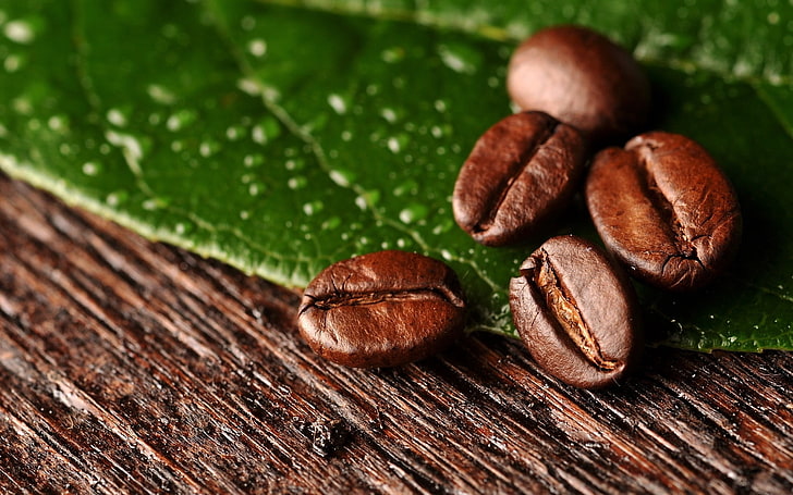 chicchi di caffè, chicchi di caffè, superficie, foglie, Sfondo HD