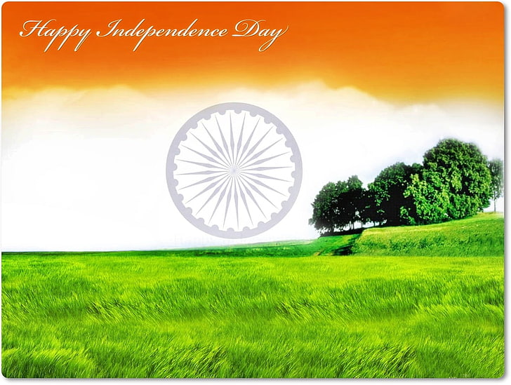 Bandiera indiana, felice festa dell'indipendenza poster, festival / vacanze, festival, indiano, Sfondo HD