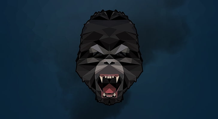 gorilla, poli, harambe, Sfondo HD