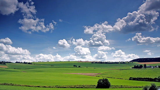 natura, pole, trawa, łąka, krajobraz, ziemia, niebo, łąka, wiejski, gospodarstwo rolne, wieś, równina, rolnictwo, lato, rolnictwo, kraj, chmura, horyzont, chmury, wiosna, trawnik, pochmurno, pastwisko, pogoda, sceneria, na zewnątrz, scena, wzgórze, drzewo, środowisko, słoneczny, jasny, pora roku, chmura, na zewnątrz, słońce, sceniczny, pole uprawne, atmosfera, roślina, Tapety HD HD wallpaper