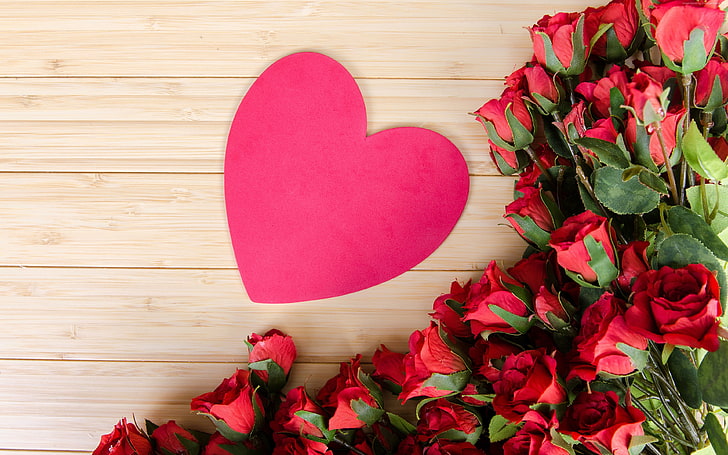 rose, flowers, heart, love image, 4k, HD wallpaper