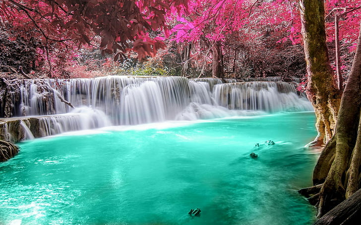 turquesa, paisagem, lagoa, natureza, rio, rosa, Tailândia, árvores, colorido, floresta, folhas, cachoeira, branco, HD papel de parede