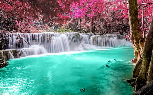 pink leafed trees, red and pink trees near waterfalls, waterfall, forest, colorful, nature, Thailand, trees, landscape, pink, turquoise, white, tropical, river, pond, leaves, HD wallpaper HD wallpaper