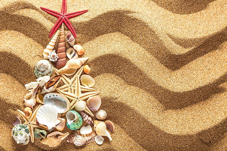 arena, decoración, árbol, año nuevo, concha, navidad, playa, conchas marinas, Fondo de pantalla HD