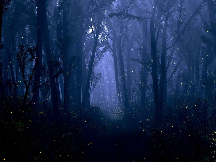 bokeh, dream, fantasy, firefly, forest, insect, mood, night, Trees, HD wallpaper