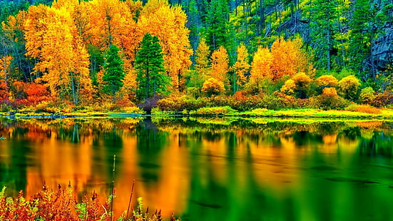 สะท้อน, ธรรมชาติ, ใบไม้, พืช, น้ำ, ภูมิทัศน์, ฤดูใบไม้ร่วง, ต้นไม้, ทะเลสาบ, ผลัดใบ, วอลล์เปเปอร์ HD HD wallpaper