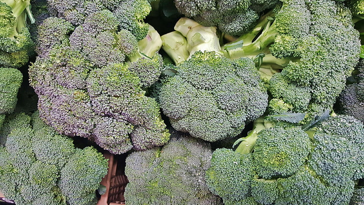 brassica oleracea, broccoli, cabbage family, eating healthy, florets, food, fresh, green vegetables, greens, grocery, health food, healthy diet, healthy eating, healthy food, market, nutrition, organic, produce, v, HD wallpaper