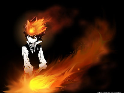 Tsuna digitale Tapete, Katekyo Hitman Reborn !, Anime Boys, Manga, Anime, Feuer, HD-Hintergrundbild HD wallpaper