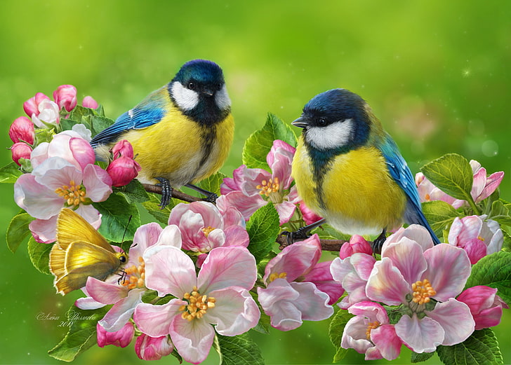 birds, background, butterfly, photoshop, spring, a couple, flowering, flowers, tit, blue tit, branch of Apple, HD wallpaper